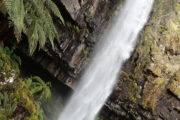 Bindaree Falls in October